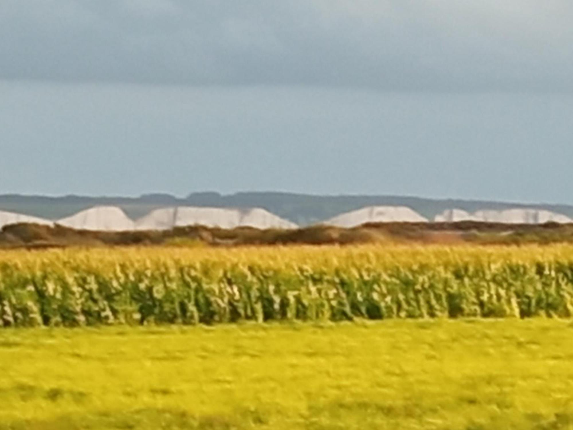 Gite Repos Et Tranquillite G Cayeux-sur-Mer Exterior foto